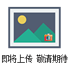 T968Y電動直通單座調(diào)節(jié)閥